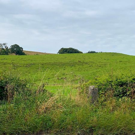 Cottage Near To Haltwhistle, Brampton & Hadrian'S Wall With Fantastic Views Upper Denton Exterior photo